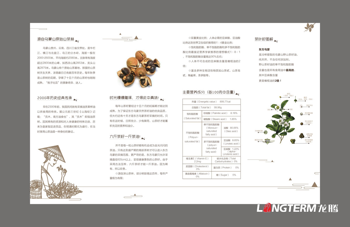 東方烏蒙野山茶籽油折頁設計|野山茶油公司產品基地折頁宣傳廣告設計