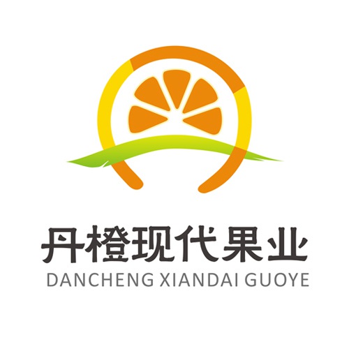 新媒體設計-丹橙現代果業公司官網設計|不知火愛媛水果桔橙鮮果蔬菜公司網站設計建設制作開發