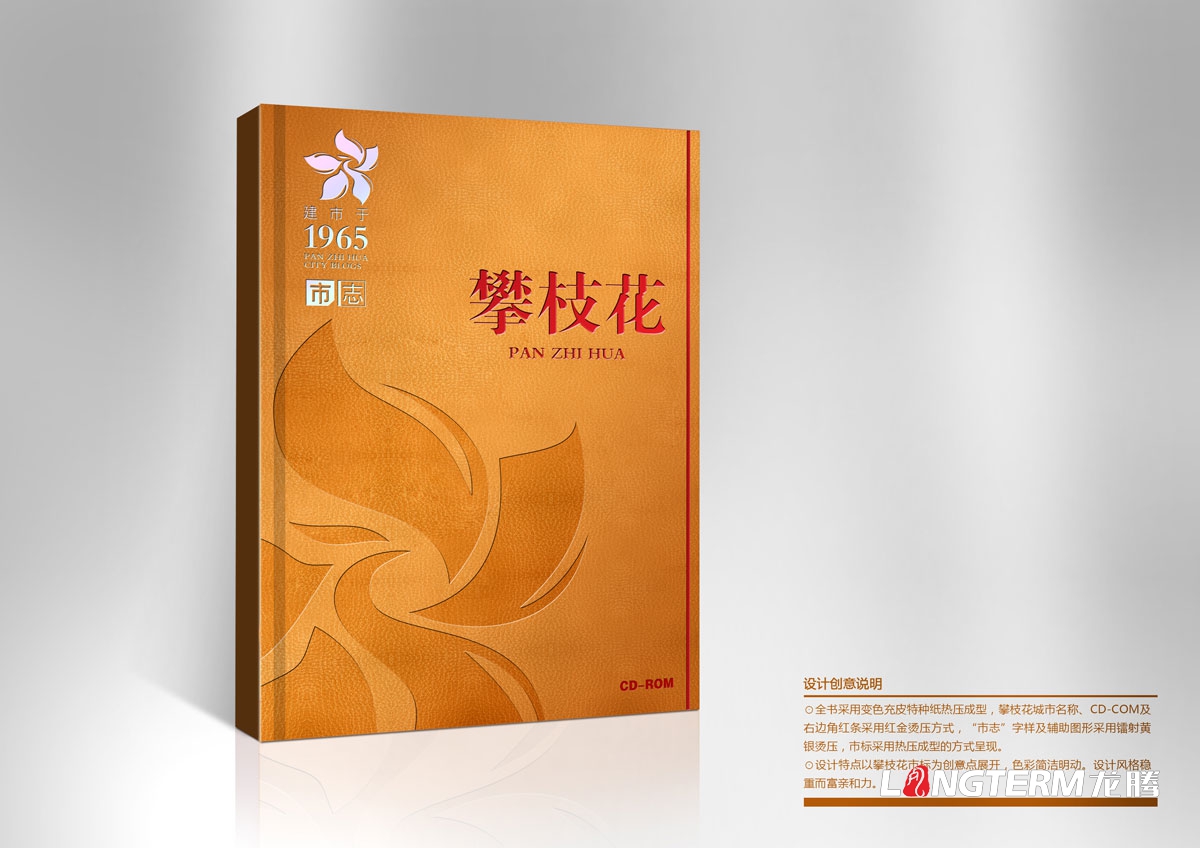 攀枝花市志光盤包裝設計|城市市志禮盒包裝設計效果圖|市志CD-ROM光盤光碟禮品盒手提袋設計方案