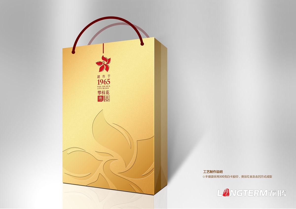 攀枝花市志光盤包裝設計|城市市志禮盒包裝設計效果圖|市志CD-ROM光盤光碟禮品盒手提袋設計方案