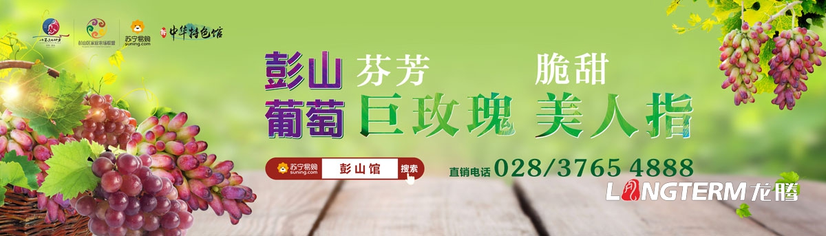 眉山市彭山區葡萄節活動宣傳設計|活動主畫面物料廣告手提袋DM單道旗戶外大牌簽到板指示牌背景板展板設計