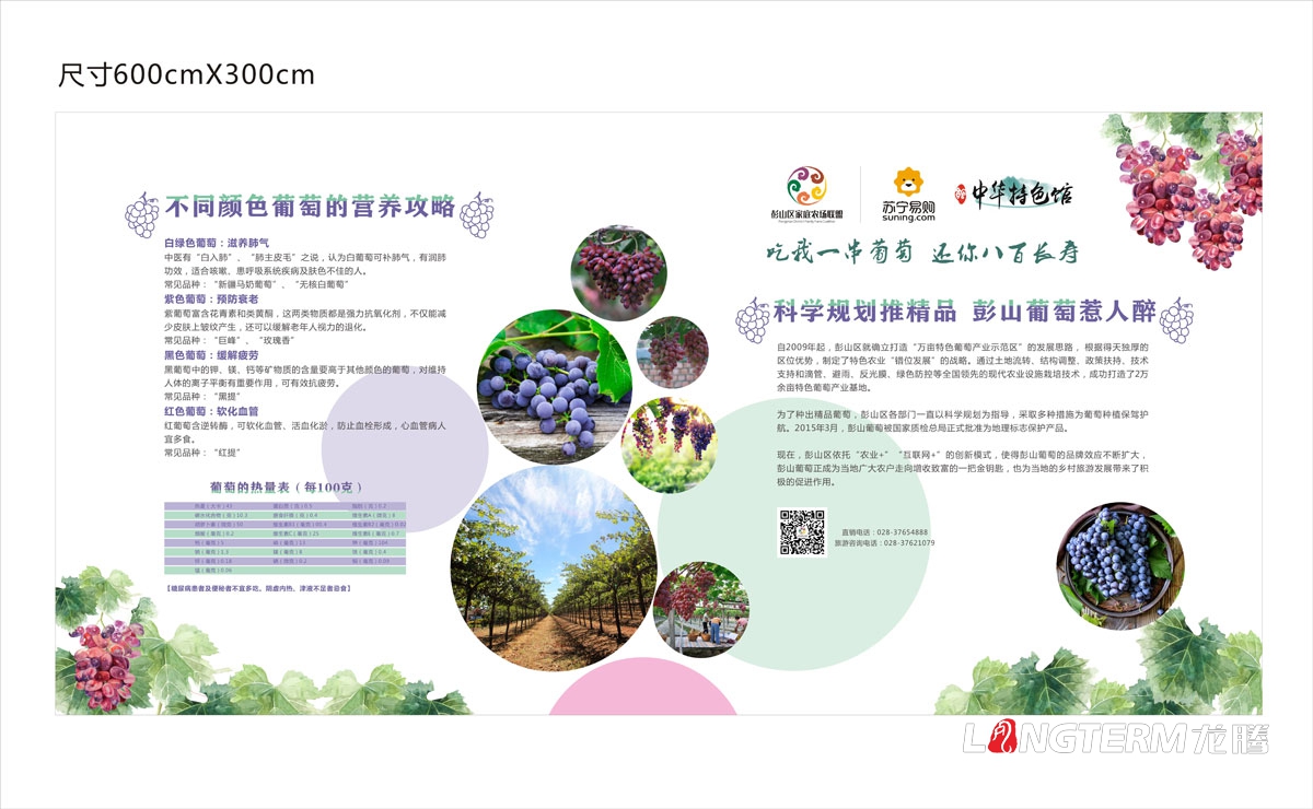 眉山市彭山區葡萄節活動宣傳設計|活動主畫面物料廣告手提袋DM單道旗戶外大牌簽到板指示牌背景板展板設計