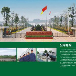 設計一本畫冊多少錢？
