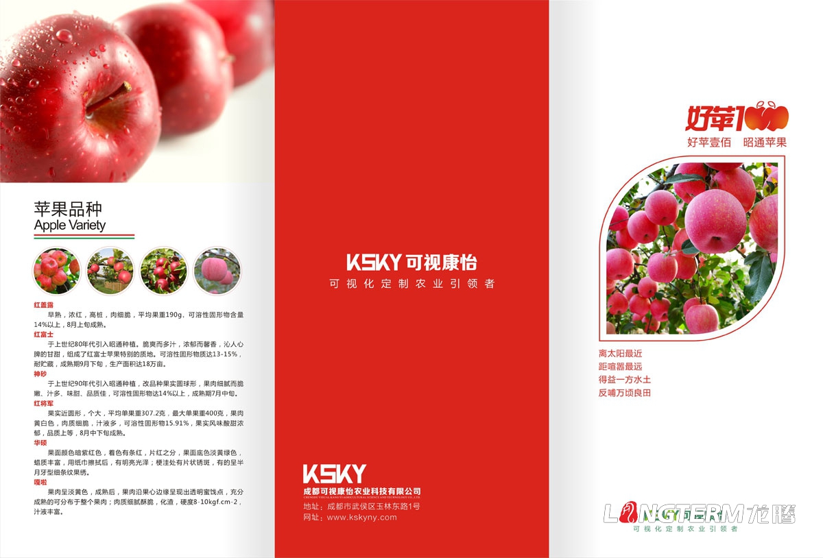 可視康怡蘋果宣傳三折頁廣告設計|水果宣傳物料廣告設計|農業科技公司鮮果宣傳設計