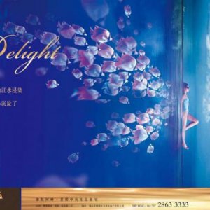 消費者到底要的是品牌還是品類？