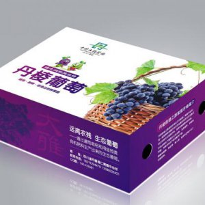 紅酒包裝設計怎樣更吸引大家眼球？
