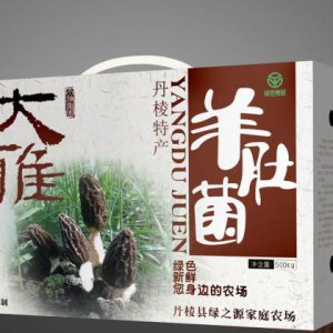 營銷策劃能夠解決企業哪些問題？