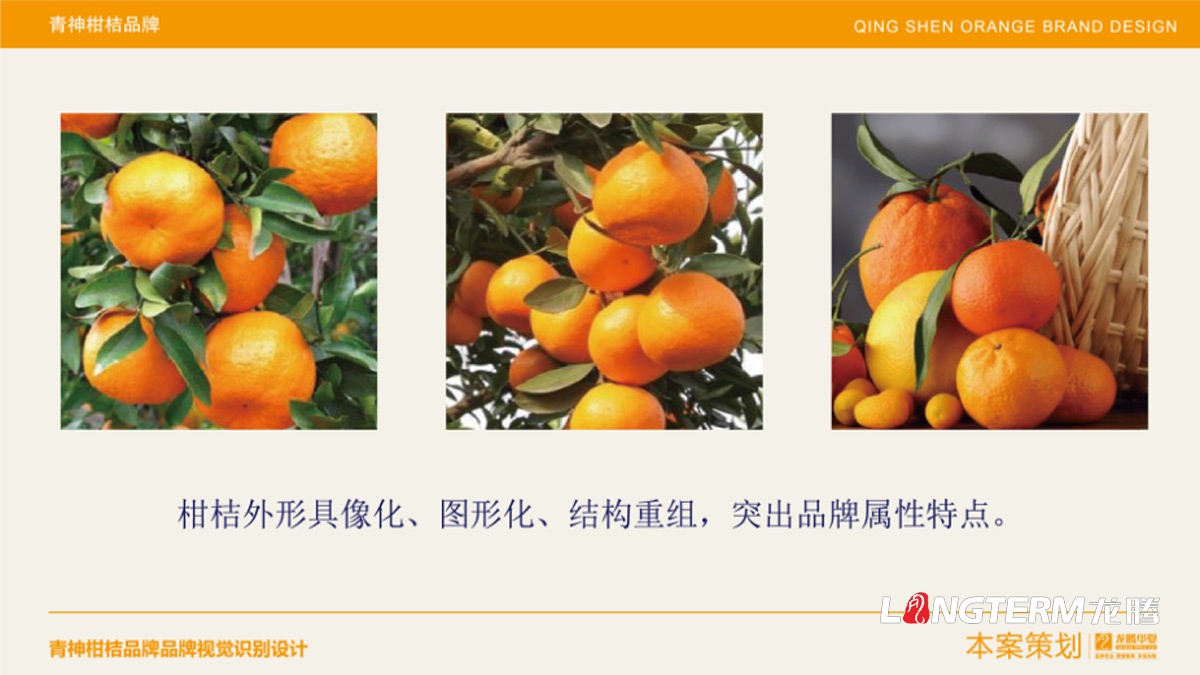 青神椪柑視覺品牌設計_眉山水果LOGO標志及形象包裝設計方案