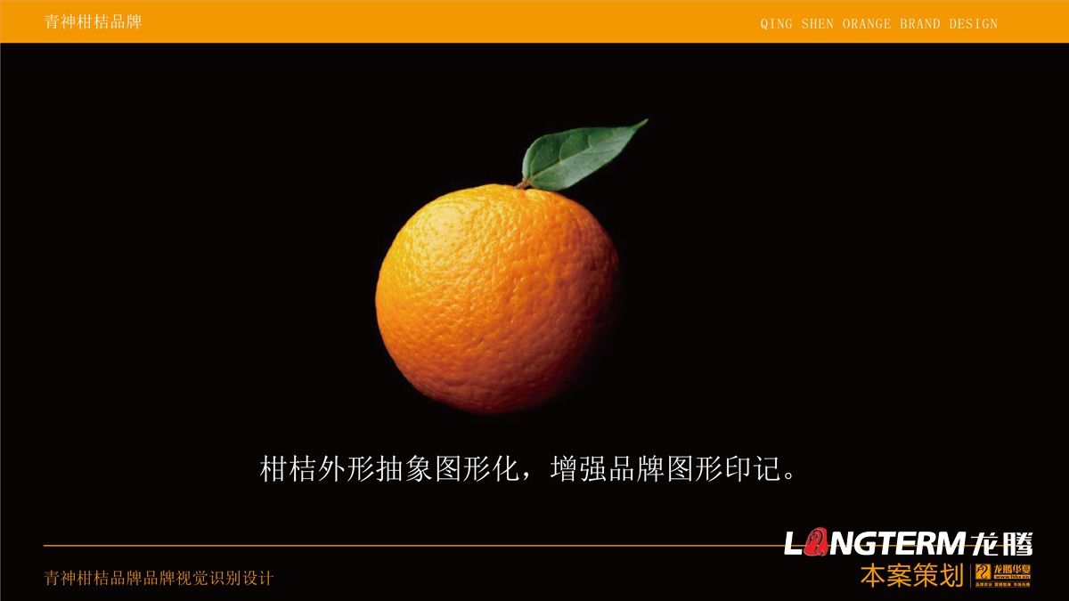 青神椪柑視覺品牌設計_眉山水果LOGO標志及形象包裝設計方案