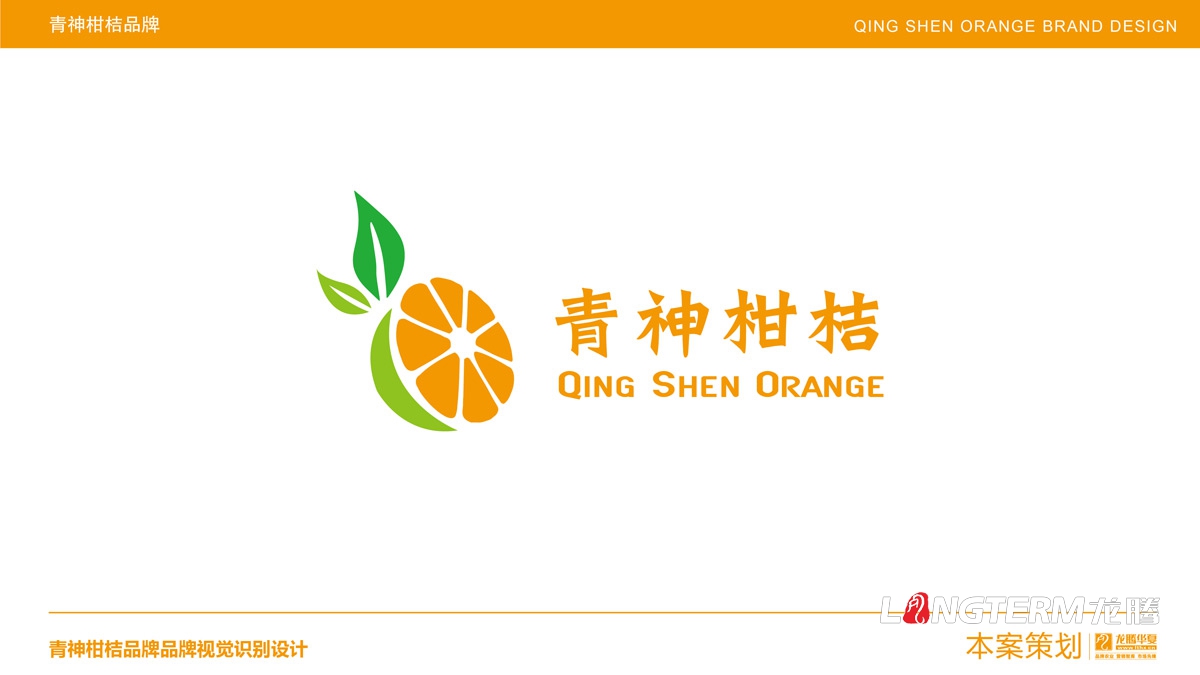 青神椪柑視覺品牌設計_眉山水果LOGO標志及形象包裝設計方案