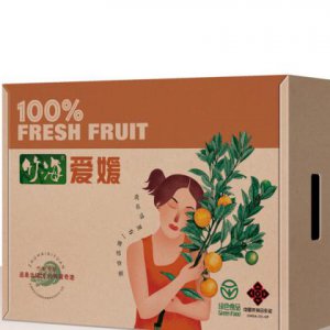 品牌包裝盒子的設計如何體現時尚？