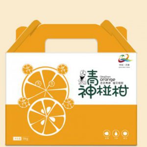 怎樣提高西安策劃中畫冊設計公司的知名度？