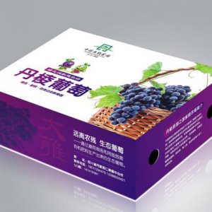 產品推廣方案怎么寫？