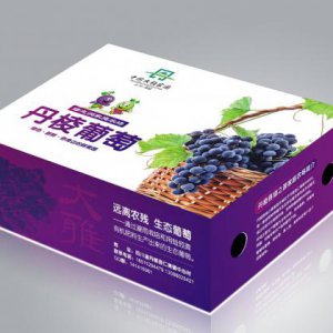 品牌形象包括哪些？