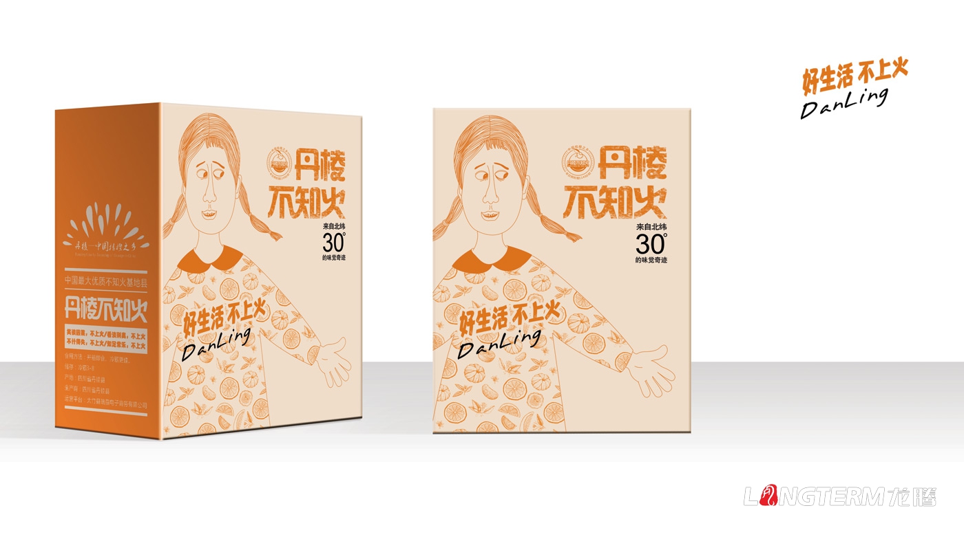 丹棱不知火品牌形象升級設計_眉山市丑柑桔橙水果產品品牌視覺識別系統LOGO及包裝設計