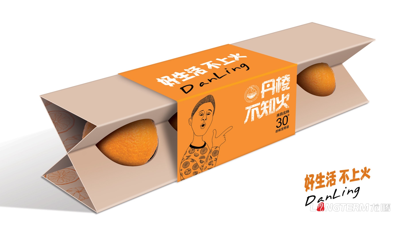 丹棱不知火品牌形象升級設計_眉山市丑柑桔橙水果產品品牌視覺識別系統LOGO及包裝設計