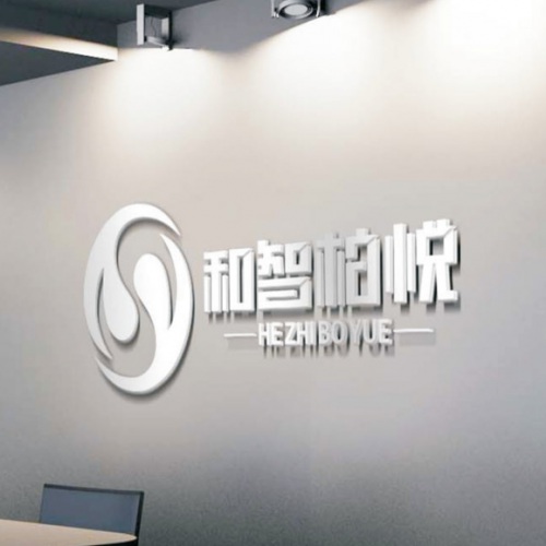 VI設計-成都和智柏悅科技有限公司LOGO設計_四川科技企業品牌形象VI視覺設計