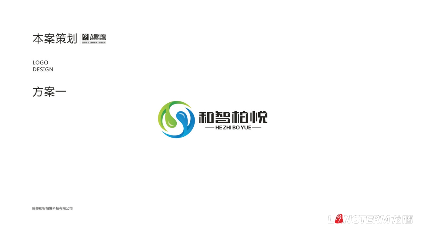 成都和智柏悅科技有限公司LOGO設計_四川科技企業品牌形象VI視覺設計