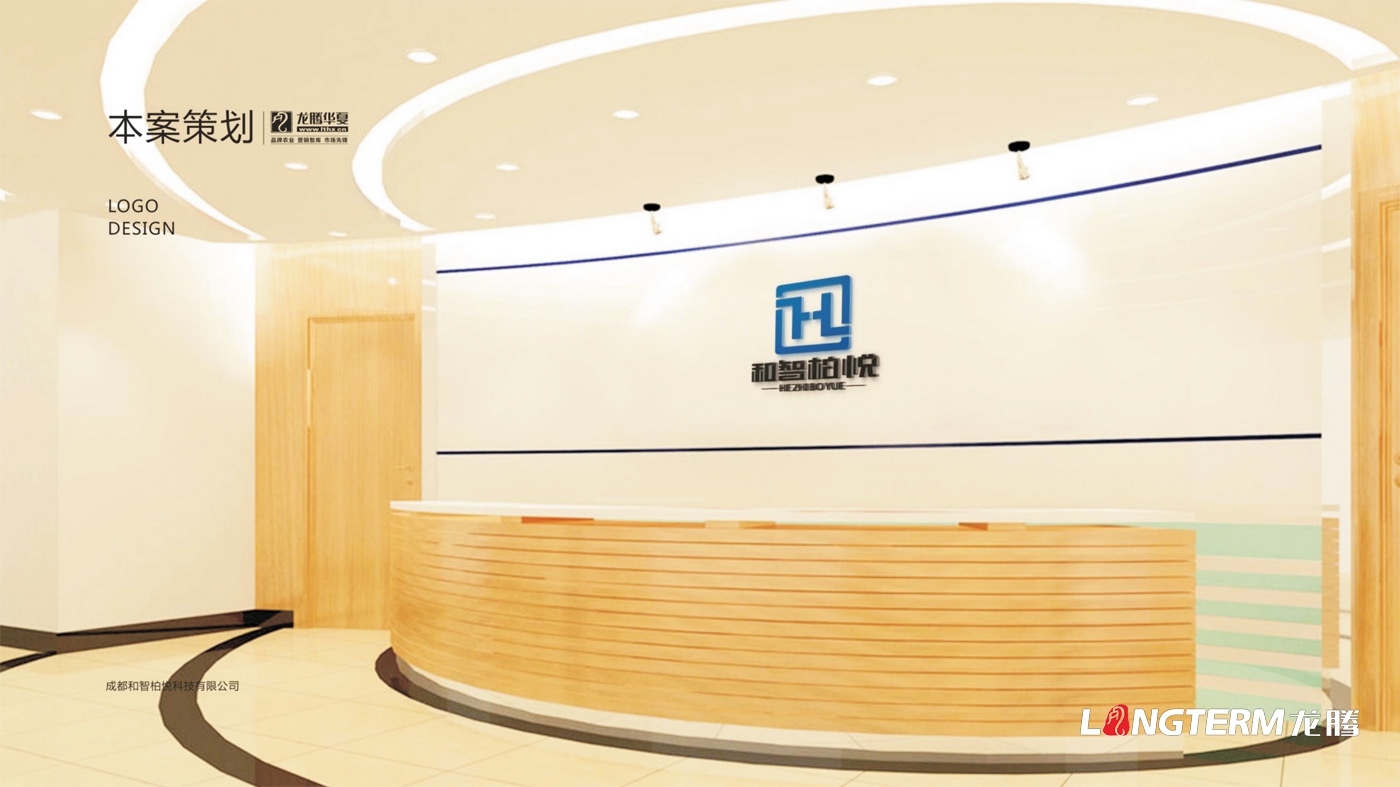 成都和智柏悅科技有限公司LOGO設計_四川科技企業品牌形象VI視覺設計