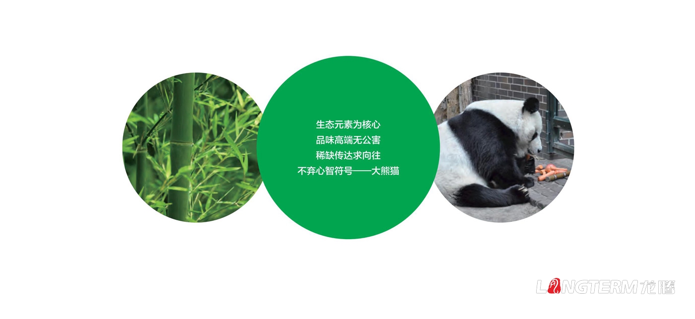 臥龍品味H5宣傳及詳情頁設計